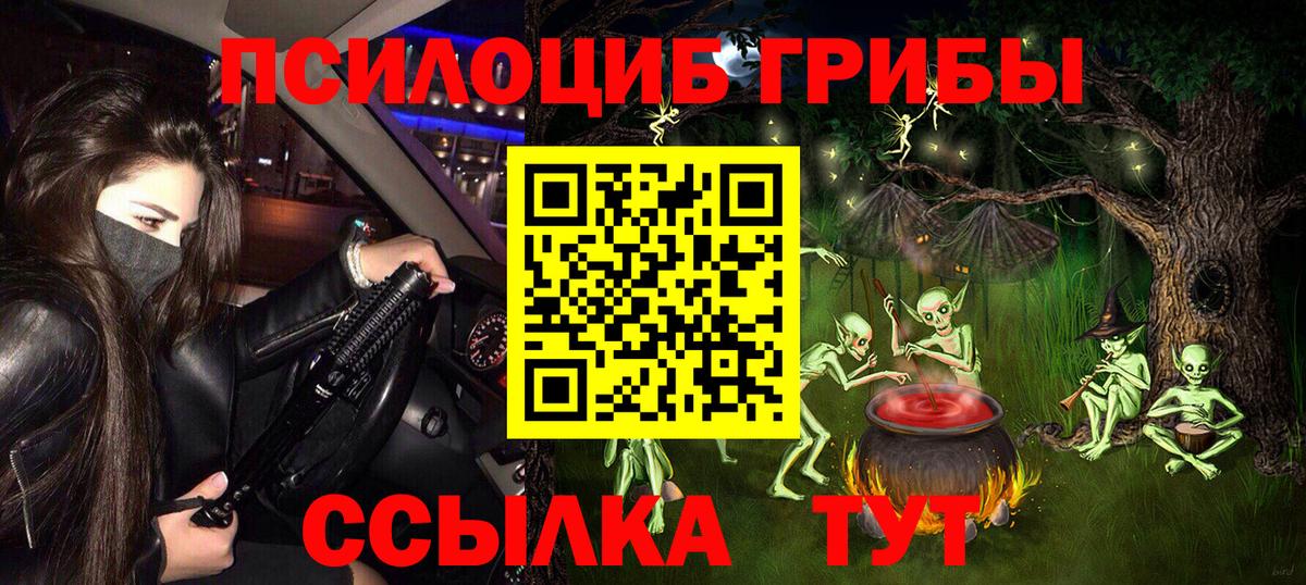 Псилоцибиновые грибы Psilocybe Можайск